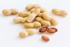 Allergie à la cacahuète : une désensibilisation orale chez les tout-petits, une piste prometteuse