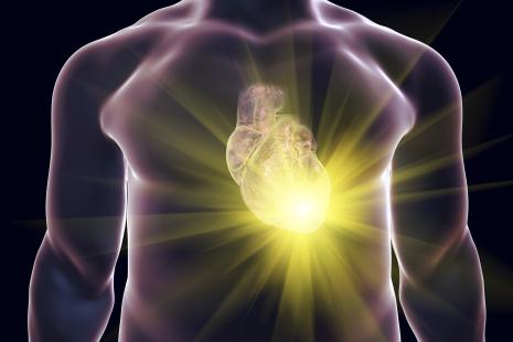 Une ablation peut être proposée chez certains sujets en post-infarctus ayant souvent des ESV.