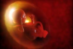 L’exposition prénatale à des perturbateurs endocriniens augmente le risque de syndrome métabolique