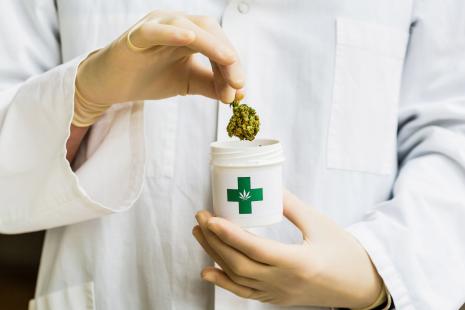 Après l'expérimentation, le statut réglementaire du cannabis thérapeutique restera à définir 